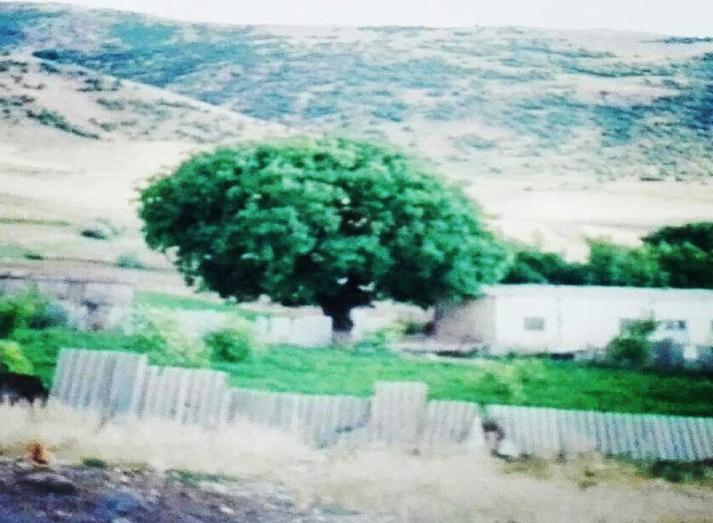روستا، عشق، بوی نم خاک
