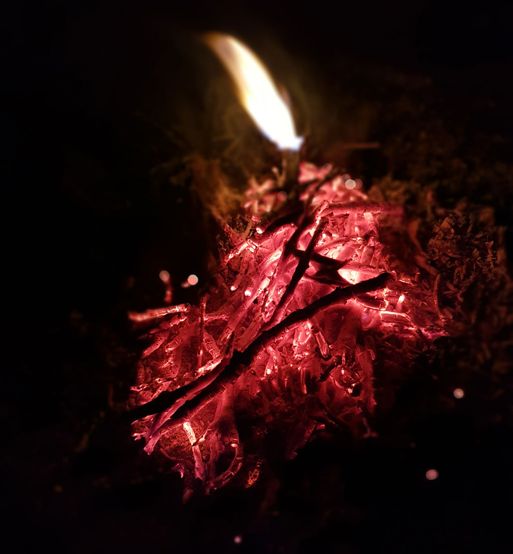 شب یار