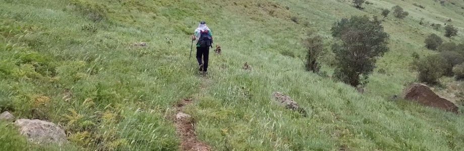 داستان کوتاه: مرد راه