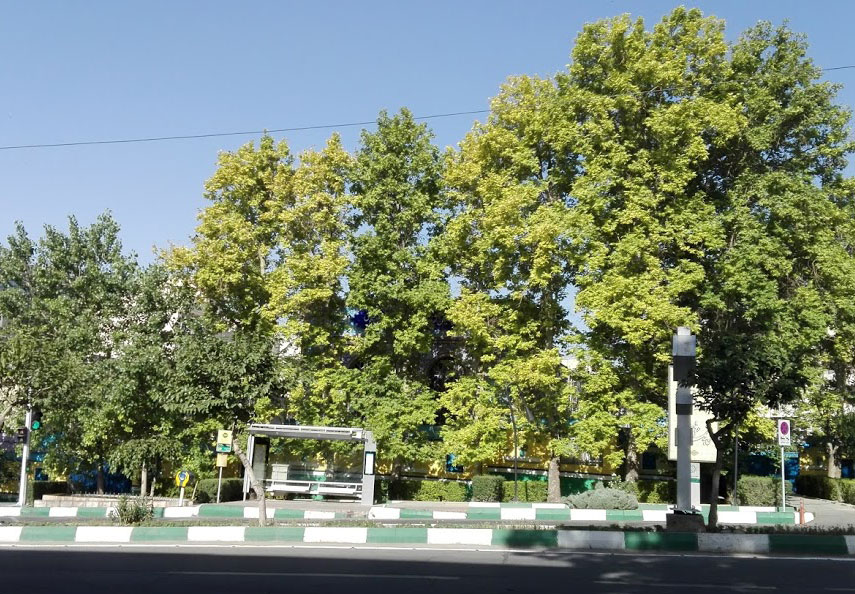 ایستگاه اتوبوس